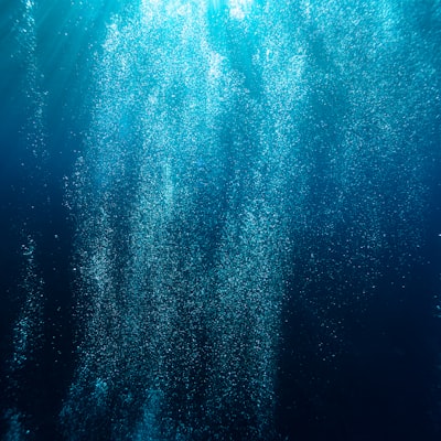 Dahab Freedive & Scuba