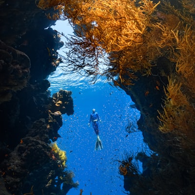Paphos Reef Co