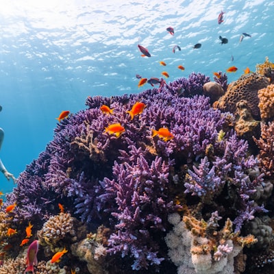 Rhodes Blue Hole