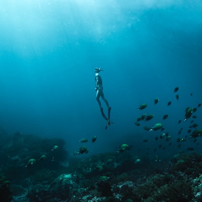 Sardinia Sub